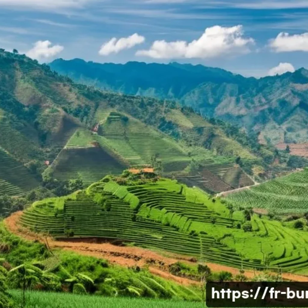 부룬디 정부의 환경 정책 - **Prompt:** A panoramic view of Burundi's "Land of a Thousand Hills," showcasing a stark contrast be...
